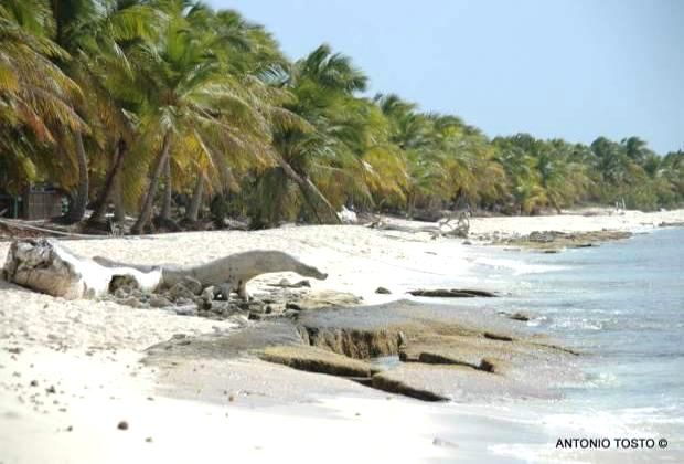 Catalina beach - you can swim, snorkel or just relax here
